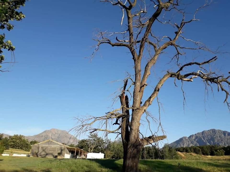 Klipfontein Rustic Farm & Camping Tulbagh Bagian luar foto