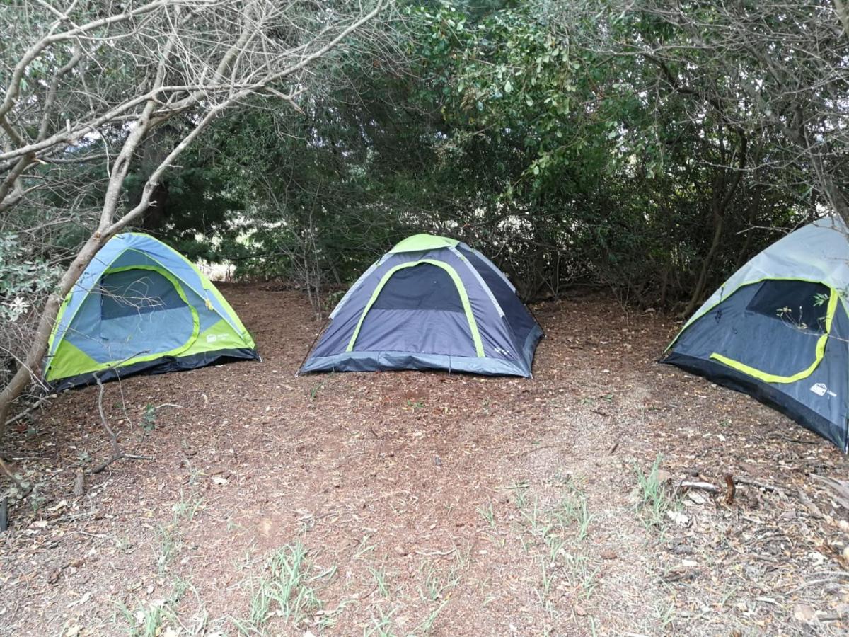 Klipfontein Rustic Farm & Camping Tulbagh Bagian luar foto