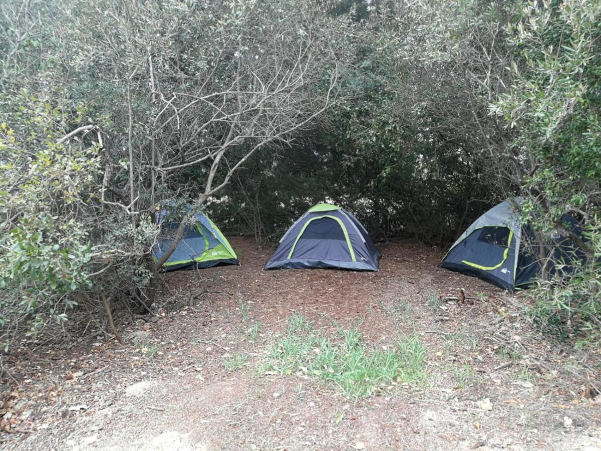 Klipfontein Rustic Farm & Camping Tulbagh Bagian luar foto