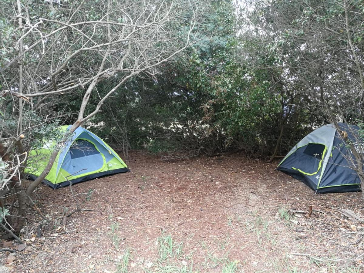 Klipfontein Rustic Farm & Camping Tulbagh Bagian luar foto