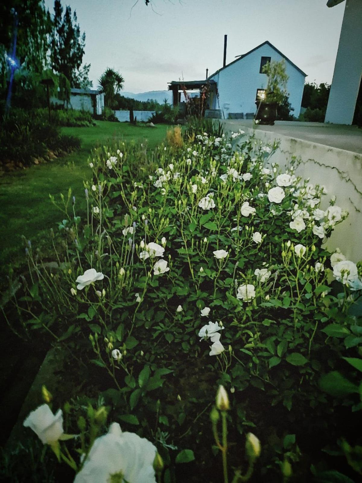 Klipfontein Rustic Farm & Camping Tulbagh Bagian luar foto